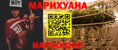 МДПВ Славгород