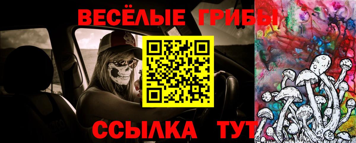 Галлюциногенные грибы ЛСД  Вход с VPN  Галлюциногенные грибы ЛСД  Омск 