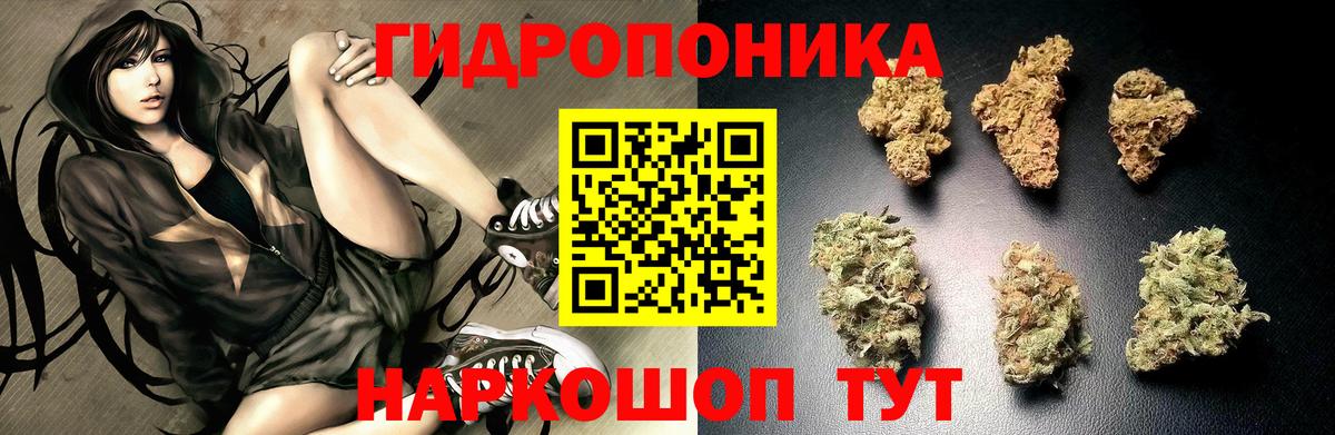Омск  Конопля ГИДРОПОН  Вход с VPN  Каннабис MAZAR  Канабис план 